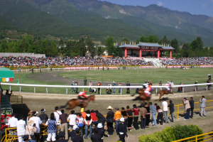 la carrera de cabalgar