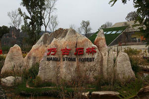 Bosque de Piedra de Naigu del Bosque de Piedra