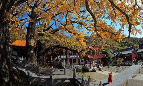 13 días Viajes de Comida China Monasterio Wenshu