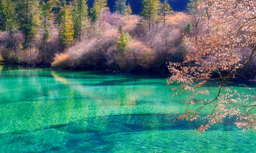 Lago Xiniu del Valle Jiuzhaigou