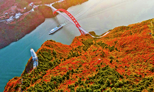 10 días Crucero por el Río Yangtsé Garganta de Wu