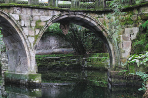 Puente Shisheng del Parque Eling