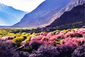 cangshan en la primavera