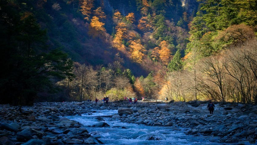 El hermoso paisaje de Wolong