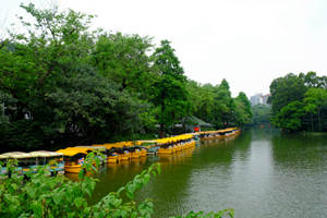 lago del Parque Yuexiu