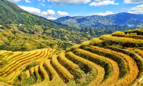 5 días Viajes de Minorías Étnicas Chinas Terrazas de Arroz de Jinkeng Dazhai