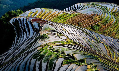 18 días Viajes al Tíbet Terrazas de Arroz de Longji