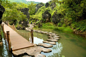 Bosque de Piedra en el Agua