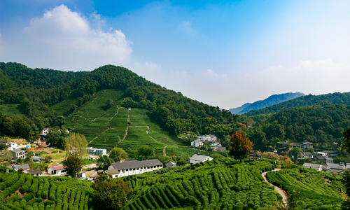 7 días Viajar por China en Tren Plantación de Té Meijiawu