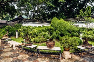 Parque de la Ciudad Amurallada de Kowloon