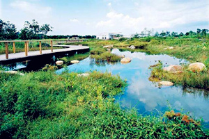 Parque de Hong Kong