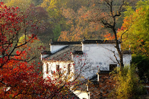 Otoño del Pueblo Tachuan