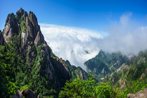 Pico de Flor de Loto de la Montaña Amarilla