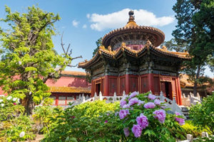 Jardín Imperial de Guía para Visitar la Ciudad Prohibida