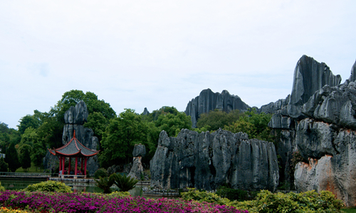 6 días Viajes a Yunnan Bosque de Piedra