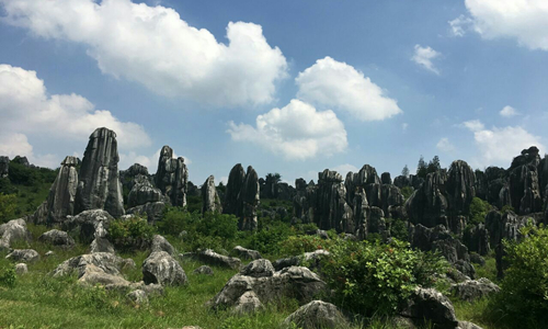 15 días Luna de Miel en China Bosque de Piedra