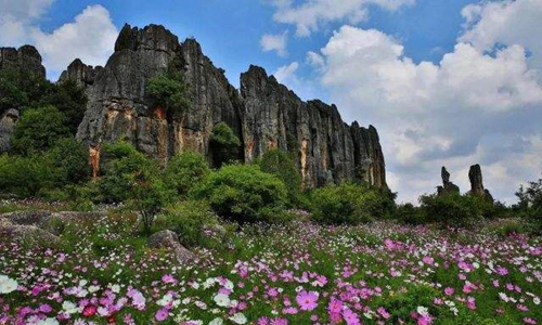 12 días Viajes de Minorías Étnicas Chinas Bosque de Piedra