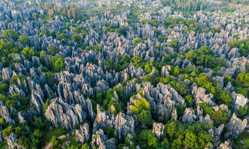 12 días Viajes de Minorías Étnicas Chinas Bosque de Piedra