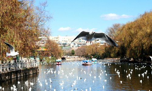 8 días Viajes de Minorías Étnicas Chinas Parque del Lago Verde