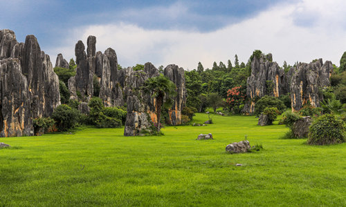 Bosque de Piedras