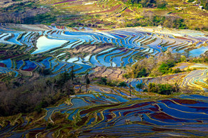 Bada de las Terrazas de Arrozal de Yuanyang