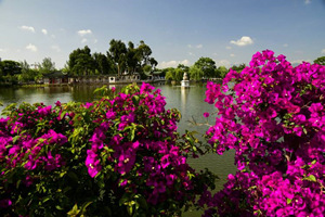 flores del Parque de Daguanlou