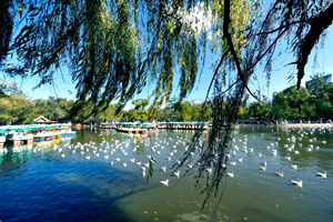 Parque del Lago Verde