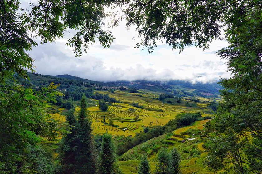 Terrazas de Arrozal de Yuanyang