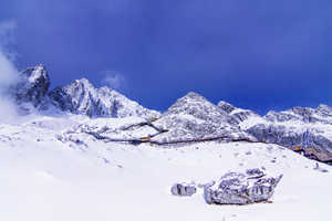 Bosque de la torre de hielo de la Montaña Nevada de Dragón de Jade