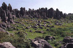 Montaña Bushao del Bosque de Piedra