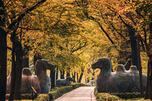 Escultura en Piedra del Camino Divino de la Tumba de Ming Xiaoling