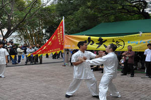 Pabellón de Kung-fu del Parque Kowloon