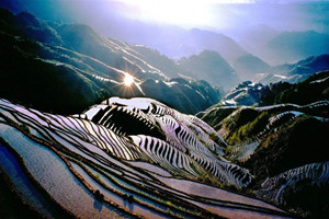 Paisaje de las Terrazas de Longji