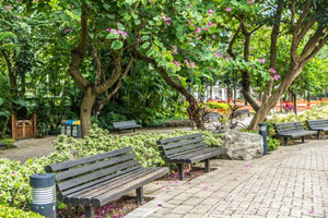 Paisaje del Parque Zoológico y Botánico de Hong Kong