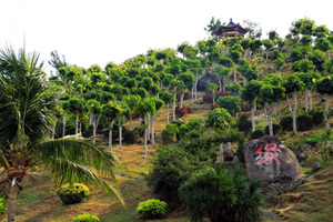 Paisaje de la Zona Cultural Turística de Nanshan