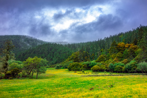 Parque Nacional Pudacuo