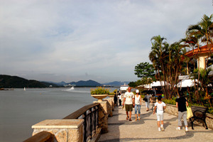 Vida en la Bahía de Descubrimiento de Hong Kong