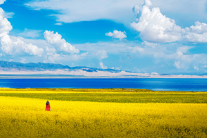 Paisaje del Lago Qinghai