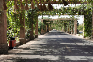 La estación de recepción de Valle de Uva de Turpan