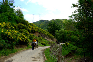 Ruta de Senderismo del Valle de la Mariposa