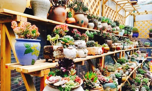 Mercado de Flores y Pájaros de Yunnan