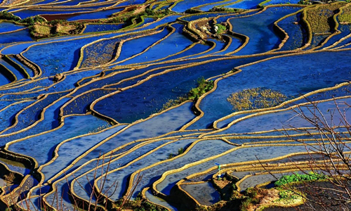 12 días Viajes de Minorías Étnicas Chinas Terrazas de Arroz de Duoyishu