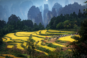 14 días Viajes de Lujo a China Parque Yuanjiajie