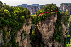 Primer Puente del Mundo del Parque Forestal Nacional de Zhangjiajie