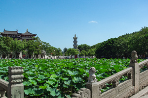 Paisaje de la Montaña Putuo