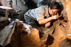 excavación del Ejército de Terracota