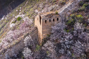 Gran muralla en primavera