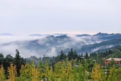 El hermoso paisaje de Bifengxia