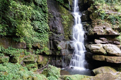 Una cascada de Bifengxia