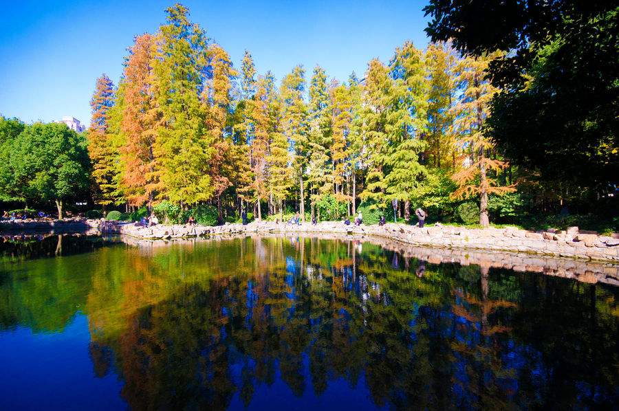 The Beautiful Scenery，Shanghai People's Park